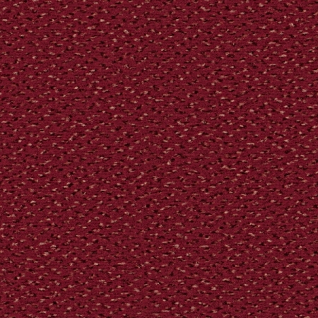 Alexis - 1P10